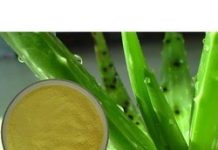 United States Aloe Vera Extract Market