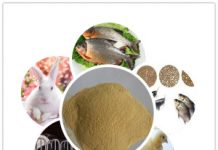 poultry feed additives