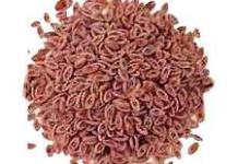 global red rice red market