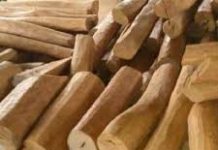 global sandalwood market size