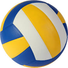 global volleyball market otulook