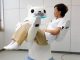 global caring patient robot market